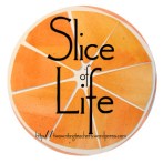 Slice of Life2